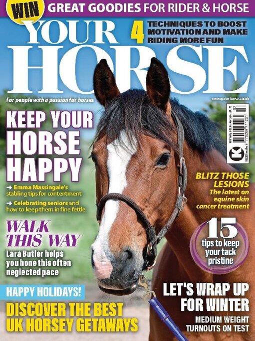 Title details for Your Horse by Kelsey Publishing Ltd - Available